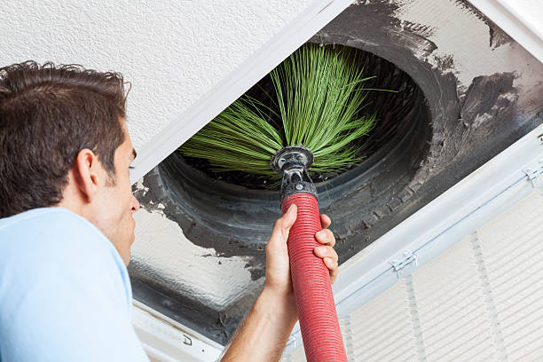 Best Commercial Air Duct Cleaning  in Avoca, PA