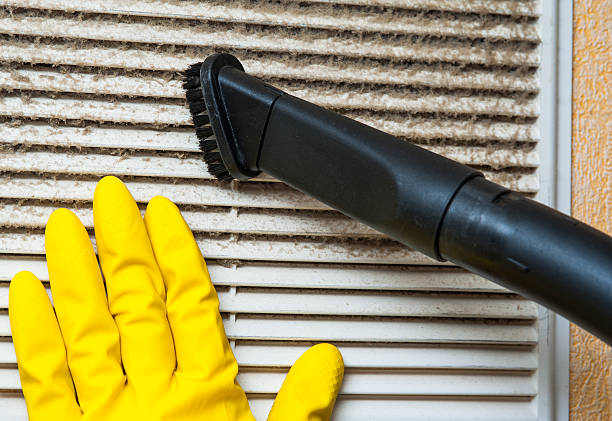 Best Professional Duct Cleaning Services  in Avoca, PA